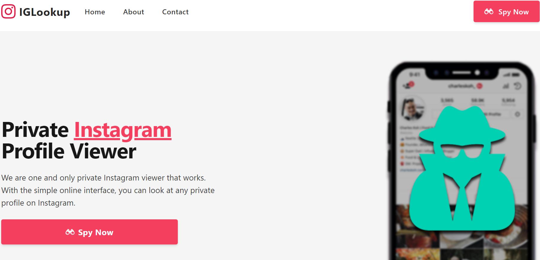 IGLookup to view private instagram profiles
